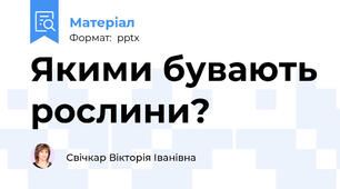 Якими бувають рослини?