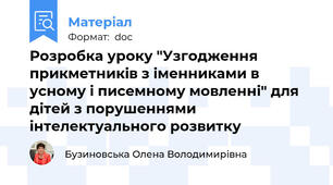 Розробка уроку "Узгодження прикметників з іменниками в усному і писемному мовленні" для дітей з порушеннями інтелектуального розвитку