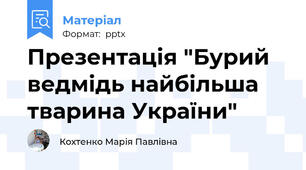Презентація "Бурий ведмідь найбільша тварина України"