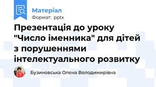 Презентація до уроку "Число іменника" для дітей з порушеннями інтелектуального розвитку