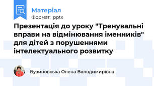 Презентація до уроку "Тренувальні вправи на відмінювання іменників" для дітей з порушеннями інтелектуального розвитку