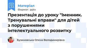 Презентація до уроку "Іменник. Тренувальні вправи" для дітей з порушеннями інтелектуального розвитку
