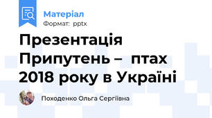 Презентація Припутень –  птах 2018 року в Україні