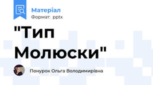 "Тип Молюски"