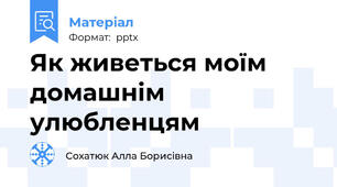 Як живеться моїм домашнім улюбленцям