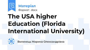 The USA higher Education (Florida International University)