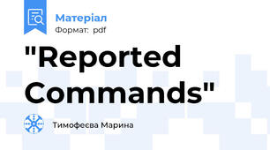 "Reported Commands"