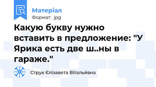 Какую букву нужно вставить в предложение: "У Ярика есть две ш..ны в гараже."