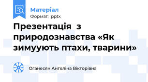 Презентація  з природознавства «Як зимуують птахи, тварини»