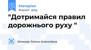 "Дотримайся правил дорожнього руху "