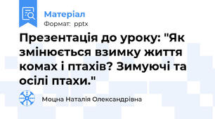 Презентація до уроку: "Як змінюється взимку життя комах і птахів? Зимуючі та осілі птахи."