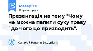 Презентація на тему "Чому не можна палити суху траву і до чого це призводить".