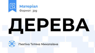 ДЕРЕВА