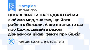 ЦІКАВІ ФАКТИ ПРО БДЖІЛ Всі ми любимо мед, знаємо, що його роблять бджоли. А що ви знаєте ще про бджіл, давайте разом дізнаємося цікаві факти про бджіл.