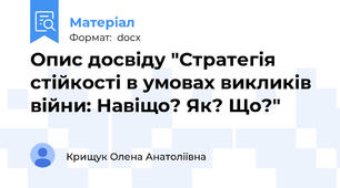 Опис досвіду "Стратегія стійкості в умовах викликів війни: Навіщо? Як? Що?"