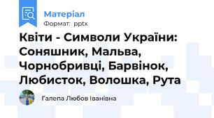 Квіти - Символи України: Соняшник, Мальва, Чорнобривці, Барвінок, Любисток, Волошка, Рута