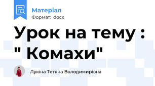 Урок на тему : " Комахи"
