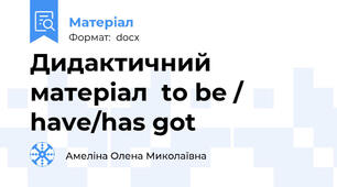 Дидактичний матеріал  to be / have/has got