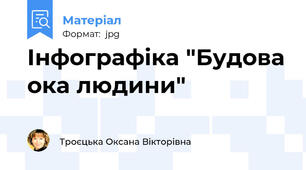 Інфографіка "Будова ока людини"