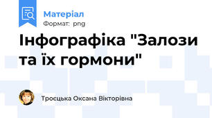Інфографіка "Залози та їх гормони"