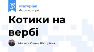 Котики на вербі