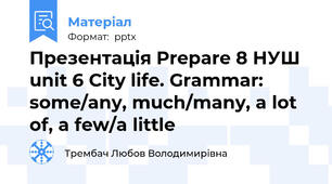 Презентація Prepare 8 НУШ unit 6 City life. Grammar: some/any, much/many, a lot of, a few/a little