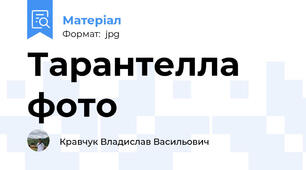 Тарантелла фото