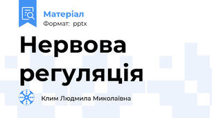 Нервова регуляція