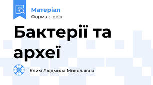 Бактерії та археї