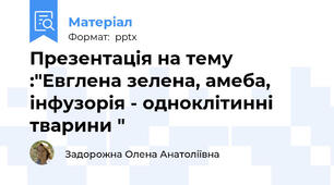 Презентація на тему :"Евглена зелена, амеба,   інфузорія - одноклітинні тварини "