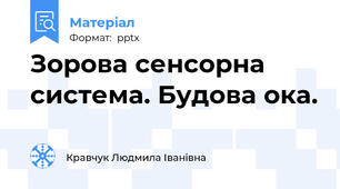 Зорова сенсорна система. Будова ока.