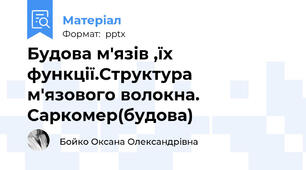 Будова м'язів ,їх функції.Структура  м'язового волокна. Саркомер(будова)