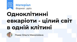 Одноклітинні евкаріоти - цілий світ в одній клітині