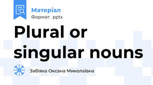 Plural or singular nouns