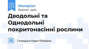 Дводольні та Однодольні покритонасінні рослини