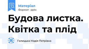 Будова листка. Квітка та плід