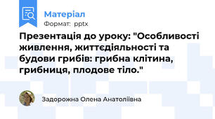 Презентація до уроку: "Особливості живлення, життєдіяльності та будови грибів: грибна клітина, грибниця, плодове тіло."