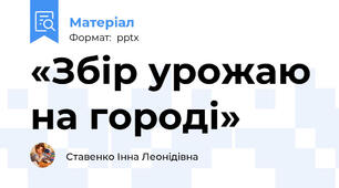 «Збір урожаю на городі»