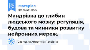 Мандрівка до глибин людського мозку: регуляція, будова та чинники розвитку нейронних мереж.