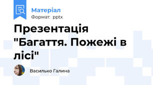 Презентація "Багаття. Пожежі в лісі"