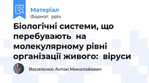 Біологічні системи, що перебувають  на молекулярному рівні організації живого:  віруси