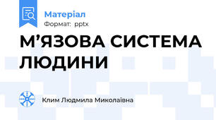 М’ЯЗОВА СИСТЕМА ЛЮДИНИ