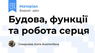 Будова, функції та робота серця