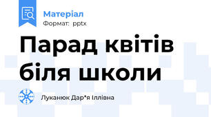 Парад квітів біля школи