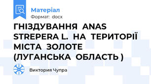 ГНІЗДУВАННЯ  ANAS  STREPERA L.  НА  ТЕРИТОРІЇ МІСТА  ЗОЛОТЕ  (ЛУГАНСЬКА  ОБЛАСТЬ )
