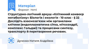 Структурно-логічний аркуш «Клітинний конвеєр метаболізму» Біологія і екологія · 10 клас · § 22 Дослідіть взаємозв'язок між органелами клітини (ендоплазматична сітка, мітохондрії, комплекс Гольджі) та процесами синтезу, транспорту й перетворення речовин.