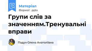 Групи слів за значенням.Тренувальні вправи