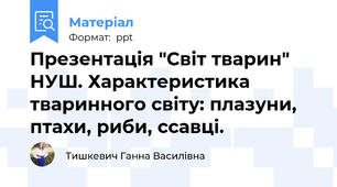 Презентація "Світ тварин" НУШ. Характеристика тваринного світу: плазуни, птахи, риби, ссавці.