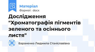 Дослідження "Хроматографія пігментів зеленого та осіннього листя"