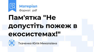 Пам'ятка "Не допустіть пожеж в екосистемах!"